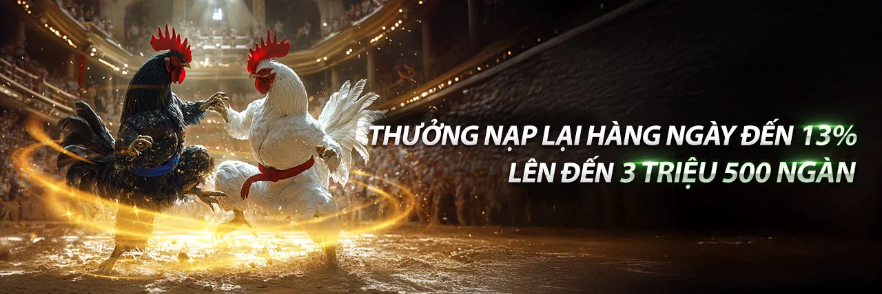 Khuyến mãi và vòng quay hấp dẫn tại shbet.800